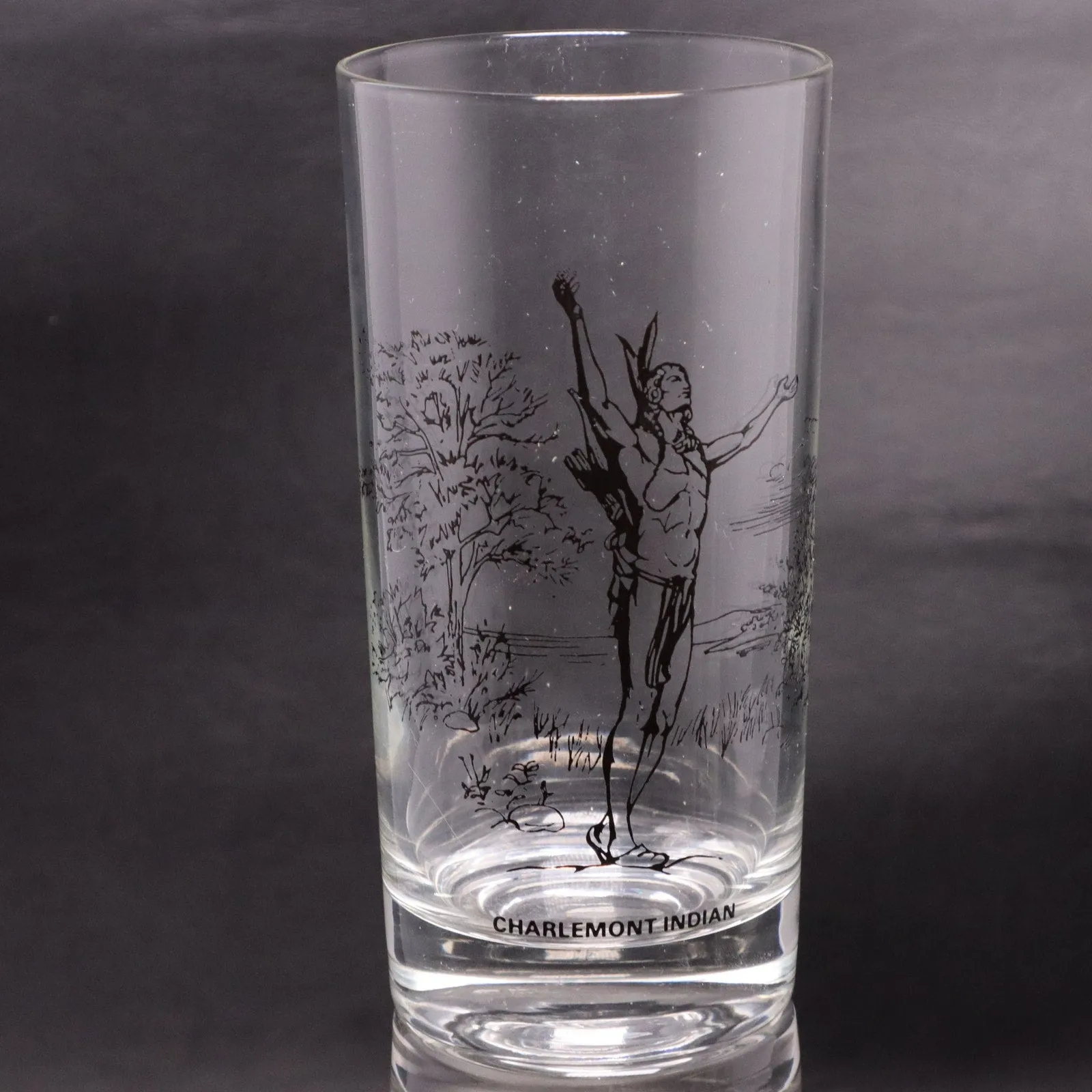 Bicentennial 6pc Set Revolutionary War Tumbler Glasses Mass Cooperative Bank