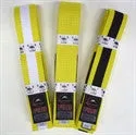 Fuji Child BJJ Belt with Stripes